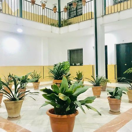 Los Patios De La Juderia Sevilla Dış mekan fotoğraf
